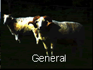 General