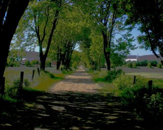 Avenue-Baie-St-Paul.jpg