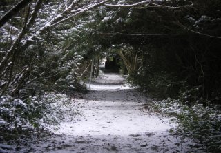 Avenue_Hilliers_winter.jpg