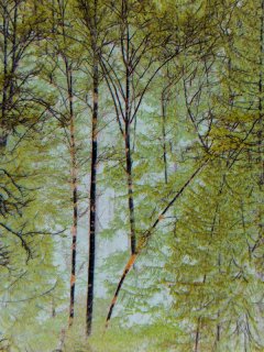 Forest-Edge.jpg