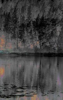 Forest-Fire.jpg