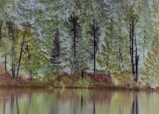 Forest-Tapestry.jpg