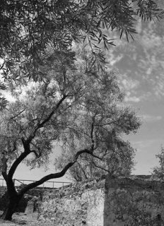 In_Mertola_Castle.jpg