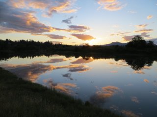 Koksilah_River.jpg