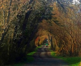 Lochside_trail.jpg