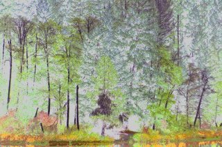 lakeshore_forest.jpg