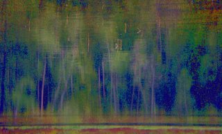 Dreamy-Forest.jpg