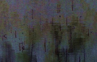 Forest-Reflections.jpg
