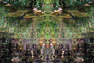 Riverbank_Reflections.jpg
