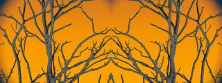Untitled-2.jpg