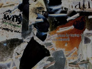 collage.jpg