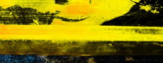 yellows.jpg