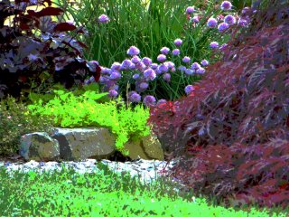 In_The_Garden.jpg