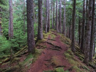 Along_the_Ridge.jpg