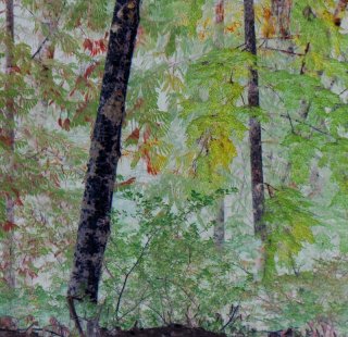 Into_the_Forest.jpg