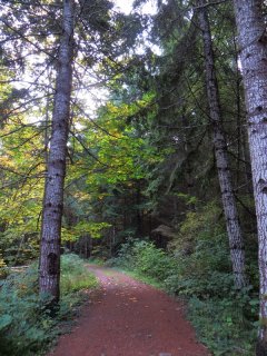 Woodland_Trail.jpg